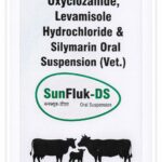 SunFluk-DS 100 ML  SYRUP