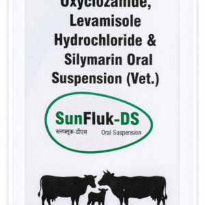 SunFluk-DS 100 ML  SYRUP